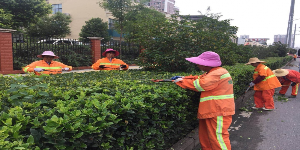 新站區(qū)道路清掃保潔、綠化管養(yǎng)項目