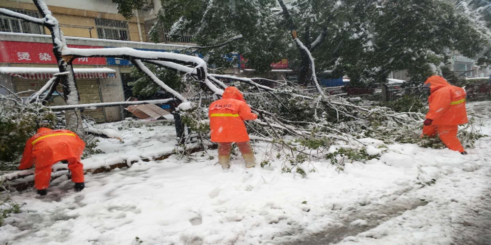 新站區(qū)道路清掃保潔、綠化管養(yǎng)項目